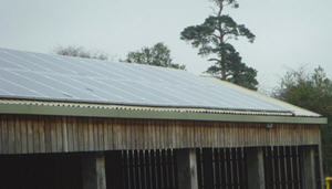 New Gokula Hare Krsna farm temple