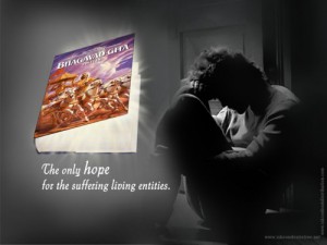 Book Distribution Wallpapers – 40