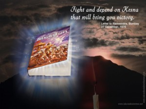 Book Distribution Wallpapers – 44