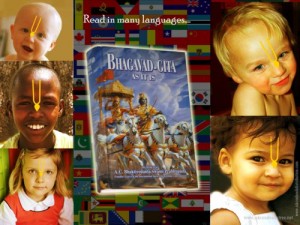 Book Distribution Wallpapers – 49