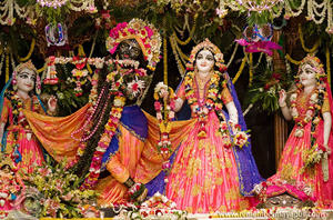 Final Results From The Radhastami MSF 2012