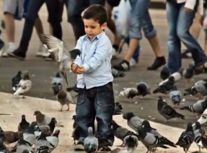 Effect of Lack of Knowledge of Bhagavad Gita