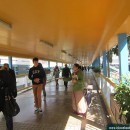 Srila Prabhupada Book Distribution at China