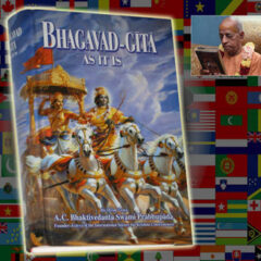 Four year old girl: “Animals don’t deserve to die.”