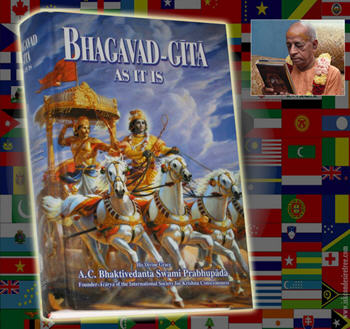 Four year old girl: "Animals don't deserve to die."