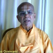 H H Gopal Krishna Goswami Speak About Book Distribution Marathon 2015