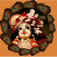 The nectar of book distribution