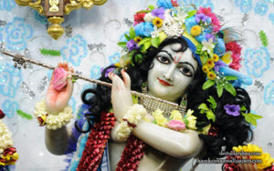 Krishna will dump out your poison