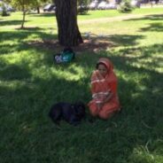 Real dogs distributing books