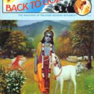 The power of book distribution