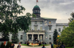 From student to mayor