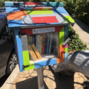 Little Free Libraries