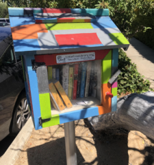 Little Free Libraries