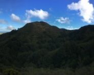 Rainy-day revelation