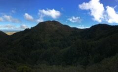 Rainy-day revelation